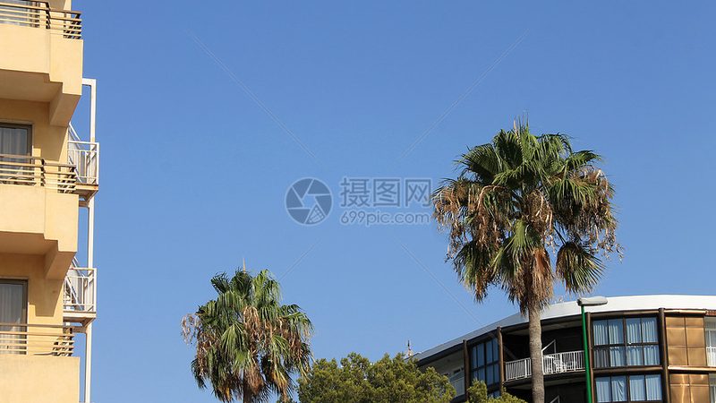 夏令营报名攻略：轻松掌握报名流程
